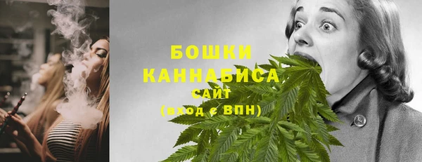 ешки Арсеньев