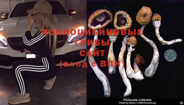 ешки Арсеньев